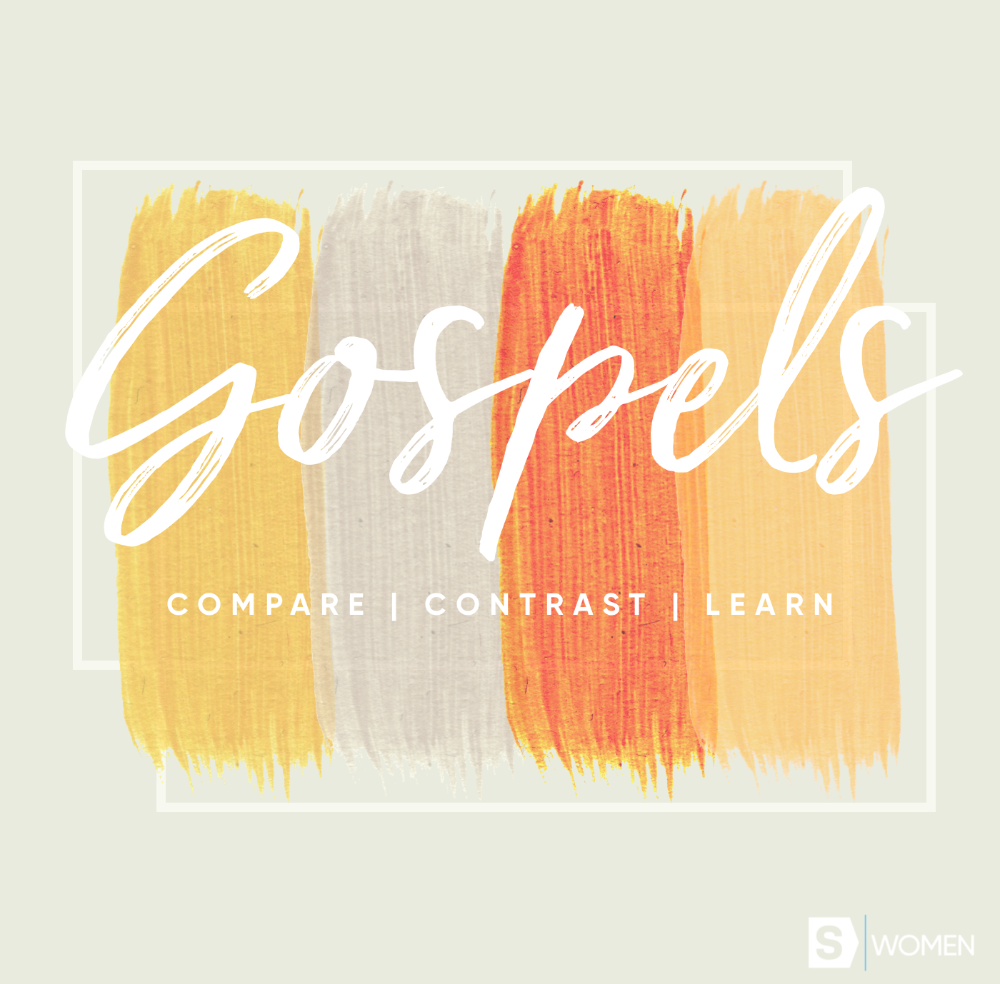 Women's Summer Bible Studies